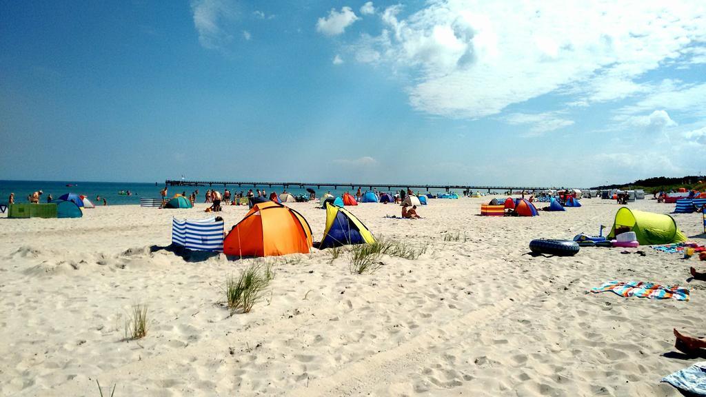 Ferienwohnungen Fruendt Prerow Pokój zdjęcie
